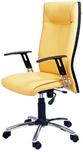 Executive Chair